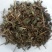 绞股蓝中药材正品新鲜草药正宗绞股蓝康养斋中药材