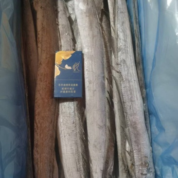 单冻干冰带鱼，2--4两，切段，炸鱼，员工福利专用