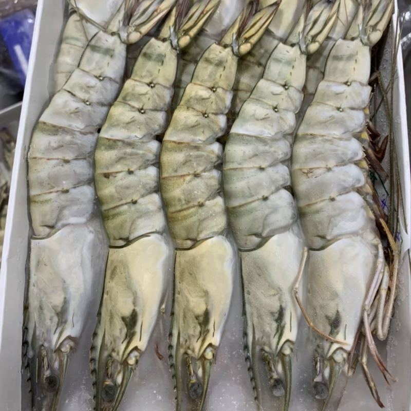 黑虎虾大板24斤13-35按需包装工厂直发