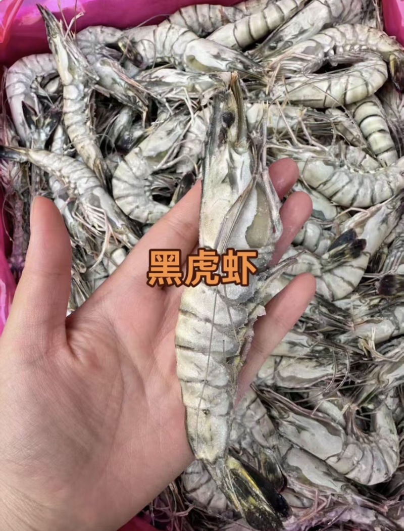 黑虎虾大板24斤13-35按需包装工厂直发