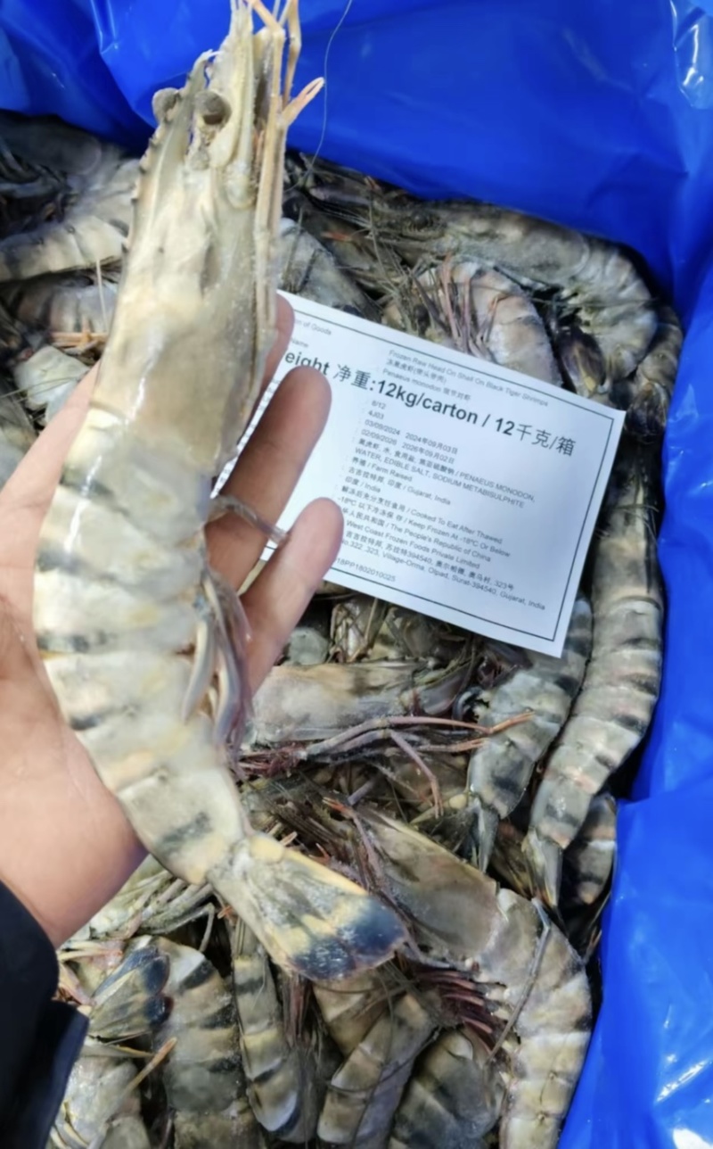黑虎虾大板24斤13-35按需包装工厂直发