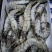 黑虎虾大板24斤13-35按需包装工厂直发