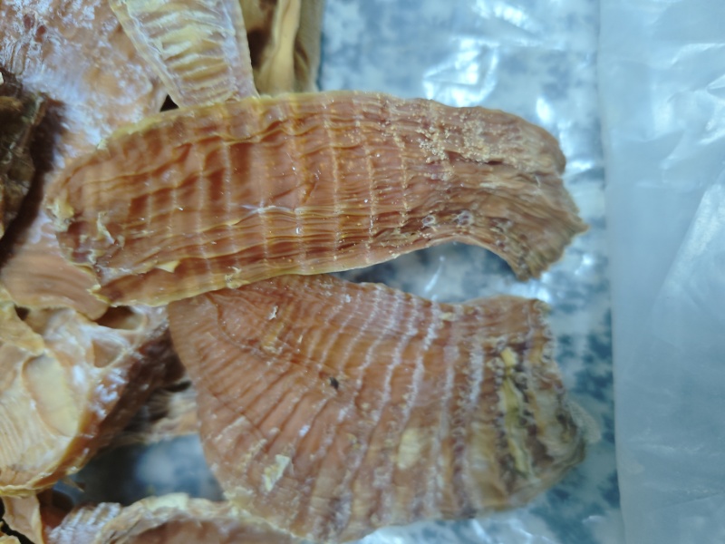 湖南高山玉兰片