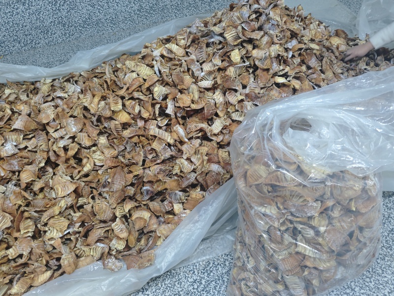湖南高山玉兰片