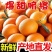 脐橙纯甜一件代发电商