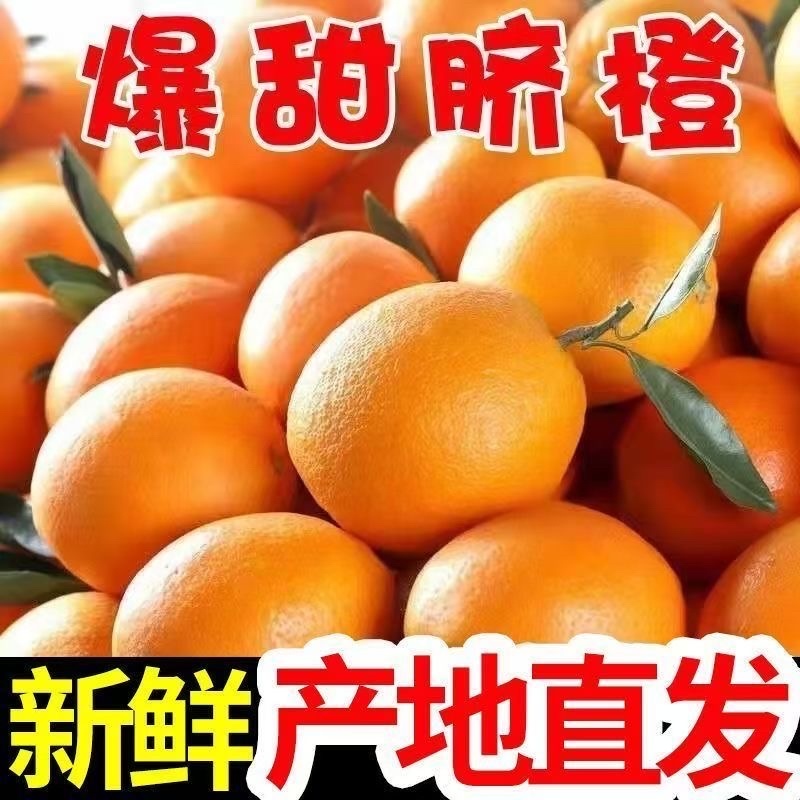 脐橙纯甜一件代发电商