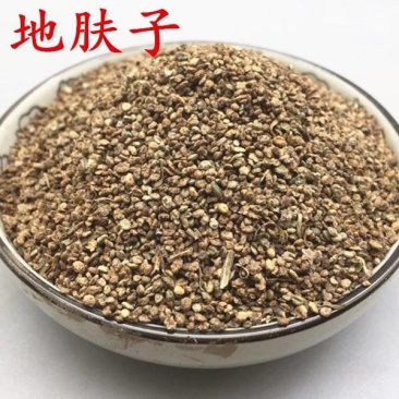 包邮）中药材地肤子地葵地麦落帚子菜子新货水洗无杂