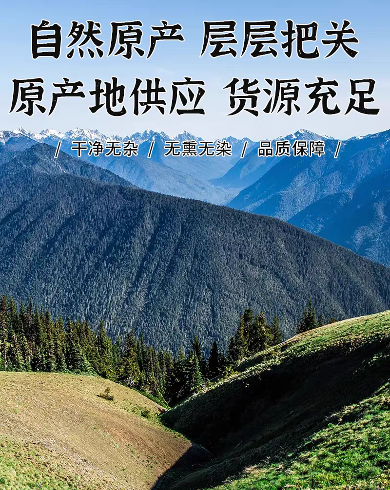 包邮）中药材地肤子地葵地麦落帚子菜子新货水洗无杂