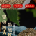 包邮）中药材地肤子地葵地麦落帚子菜子新货水洗无杂