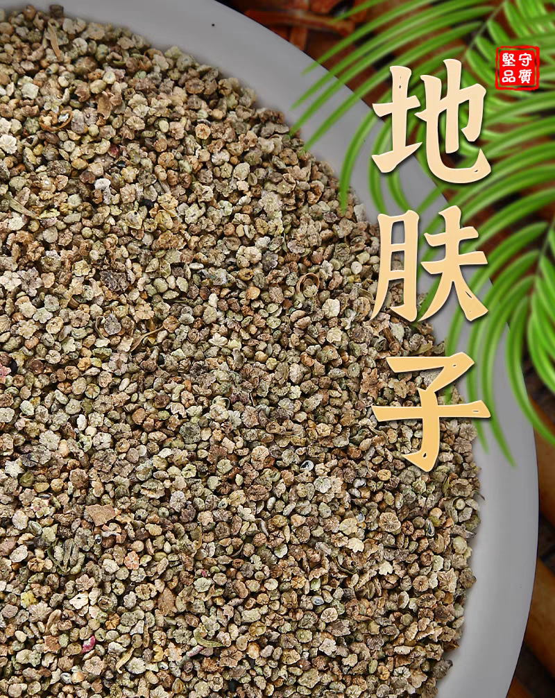 包邮）中药材地肤子地葵地麦落帚子菜子新货水洗无杂