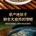 包邮）中药材地肤子地葵地麦落帚子菜子新货水洗无杂