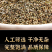 包邮）中药材地肤子地葵地麦落帚子菜子新货水洗无杂