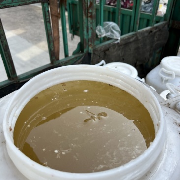 2025年洋槐蜜，水白色，波美度41度，现货60吨