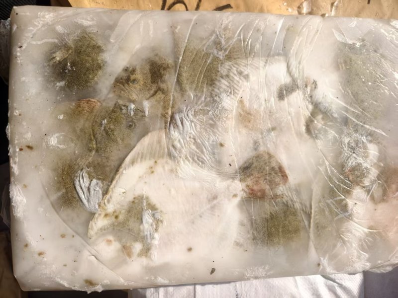 5-7两多宝鱼原料30斤