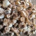 野生薤白小蒜根