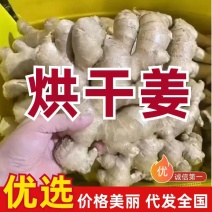 出口贸易/供货/市场/电商（水洗姜/风干姜姜巴）全国代发