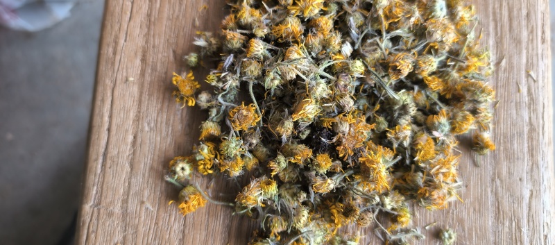 野生旋覆花六月菊花纯干货
