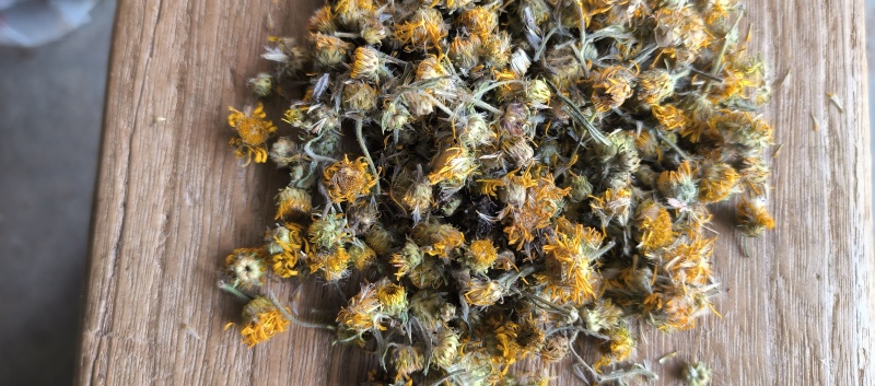 野生旋覆花六月菊花纯干货