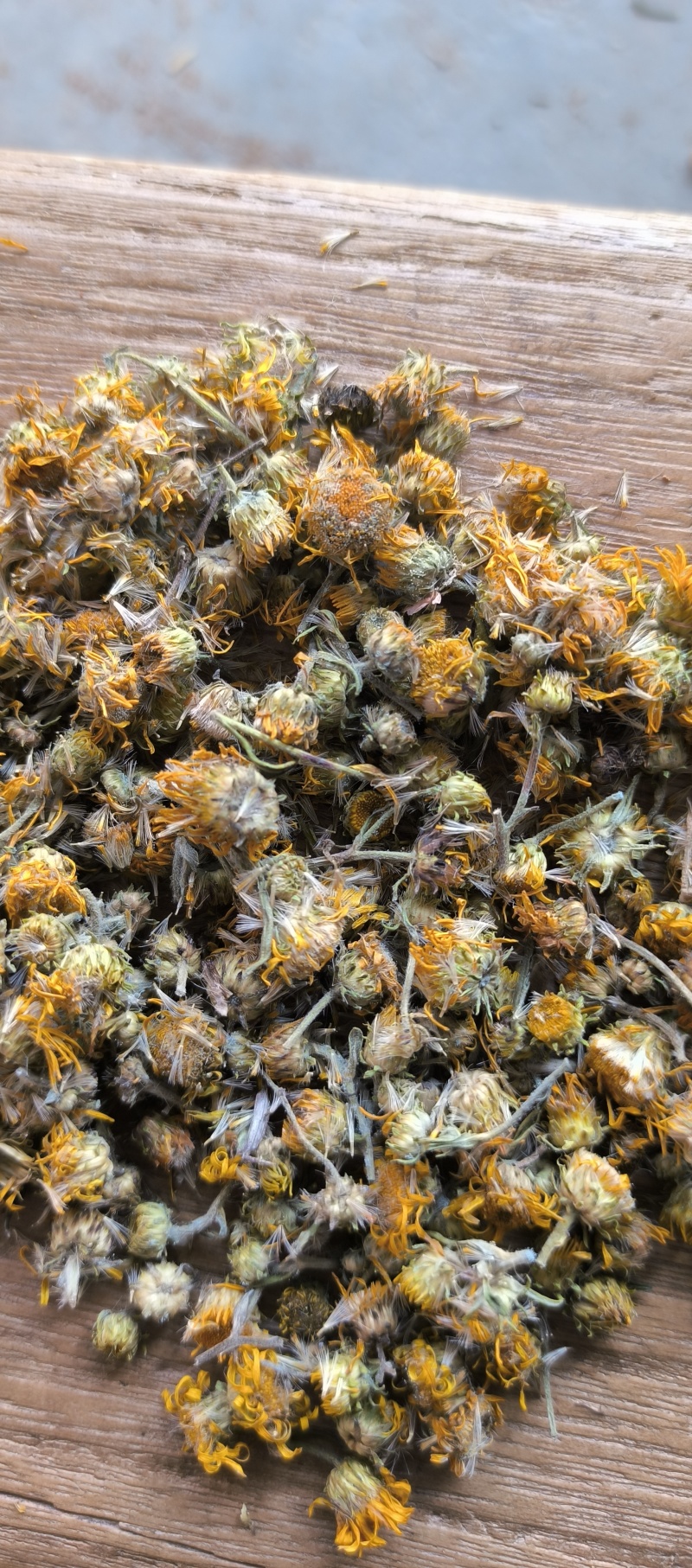 野生旋覆花六月菊花纯干货