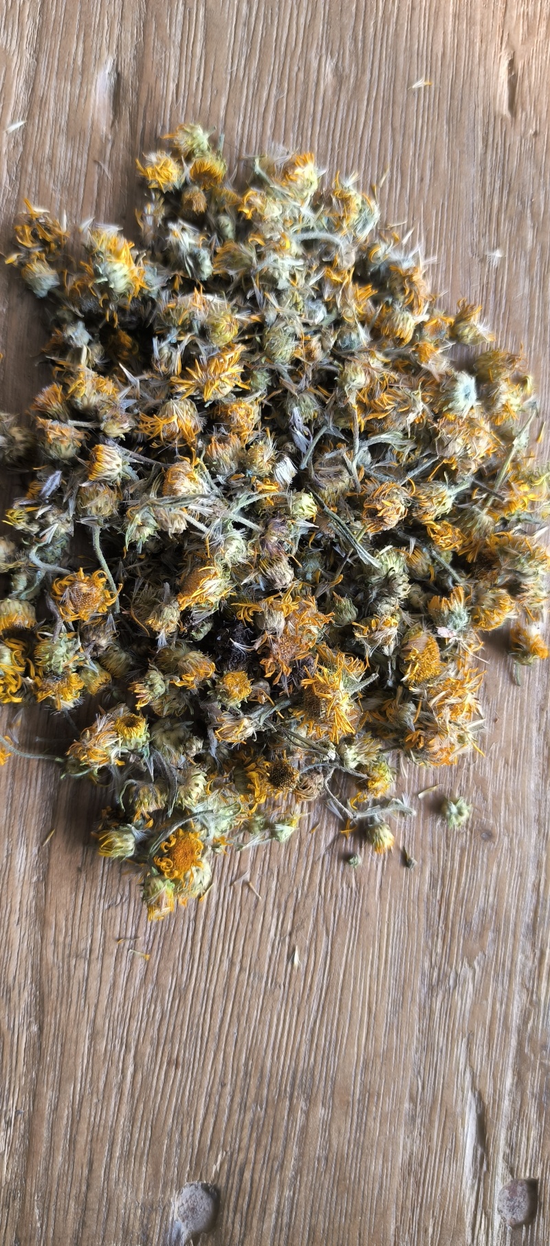 野生旋覆花六月菊花纯干货