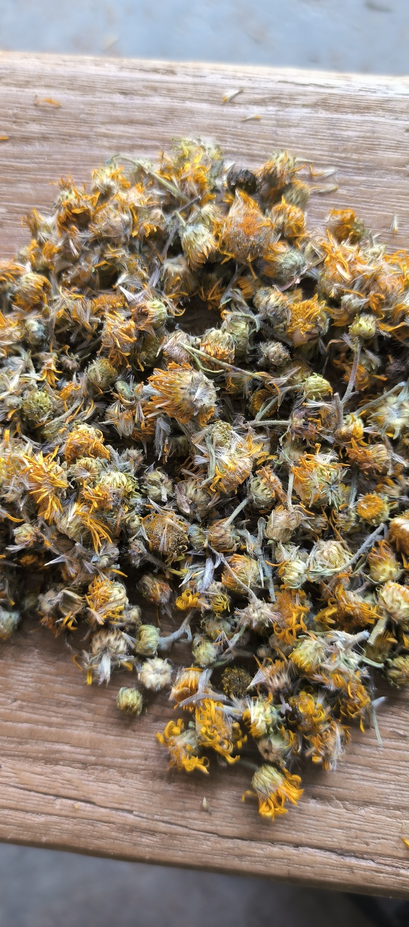 野生旋覆花六月菊花纯干货