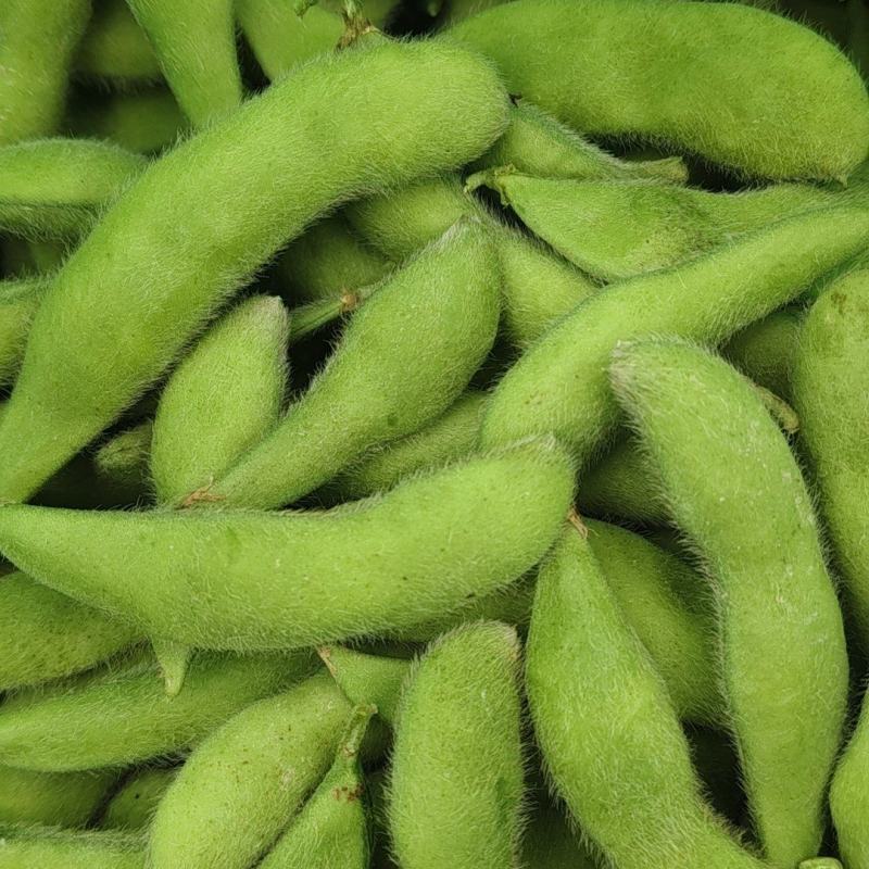浙江大青豆大量上市