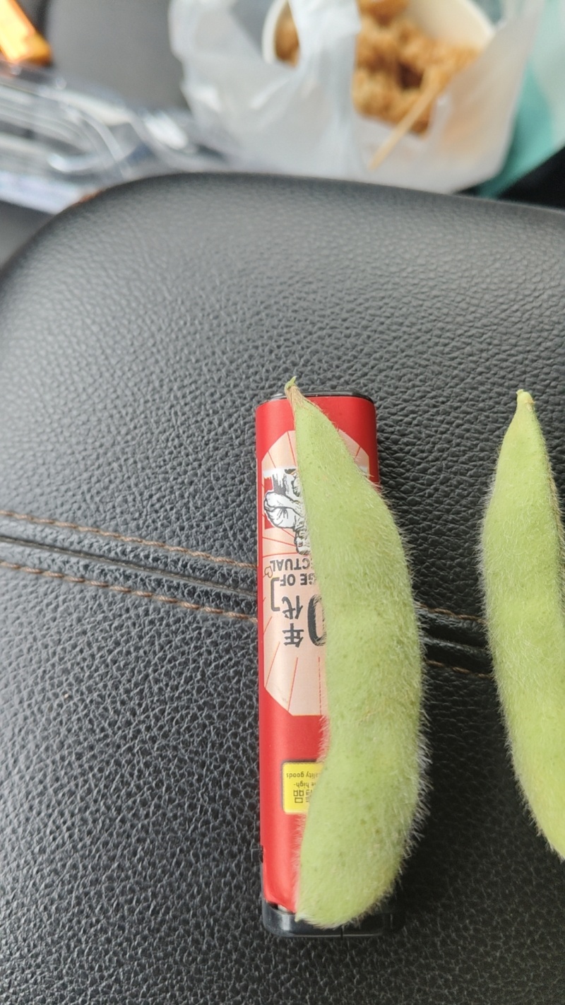 浙江大青豆大量上市