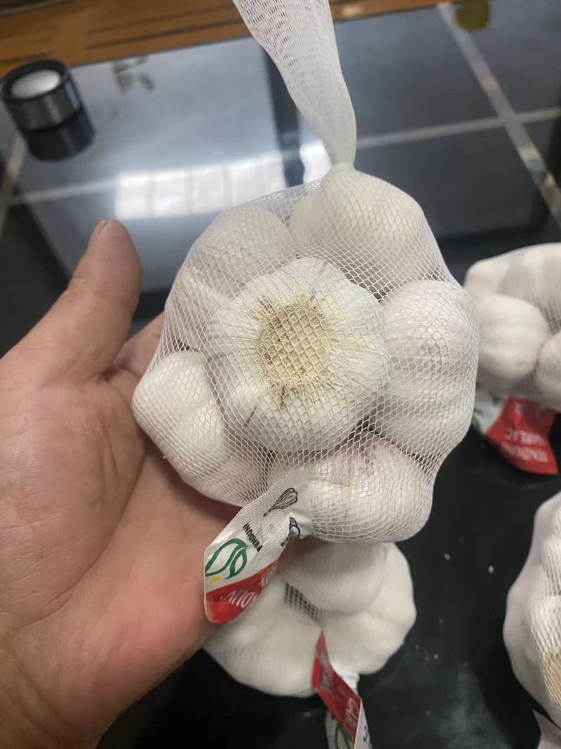 小包装精品大蒜，可出口，可进国内商超，欢迎咨询