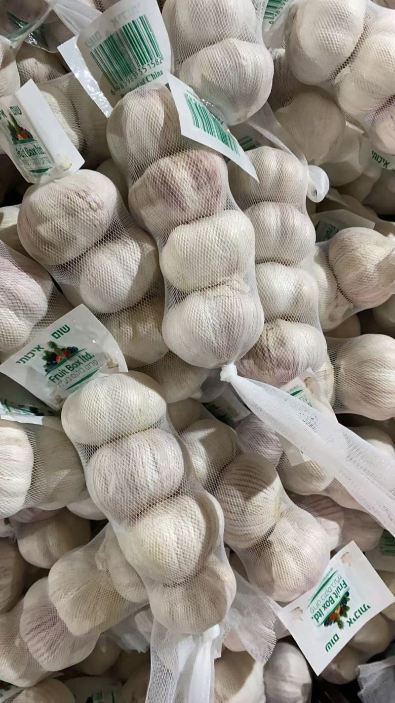小包装精品大蒜，可出口，可进国内商超，欢迎咨询