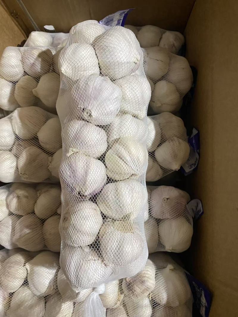 小包装精品大蒜，可出口，可进国内商超，欢迎咨询