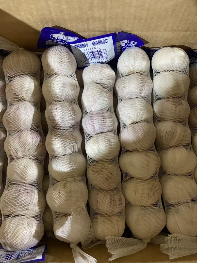 小包装精品大蒜，可出口，可进国内商超，欢迎咨询