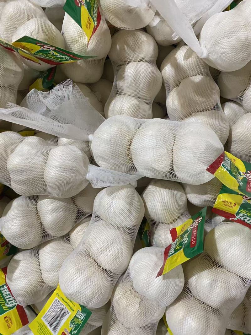 小包装精品大蒜，可出口，可进国内商超，欢迎咨询