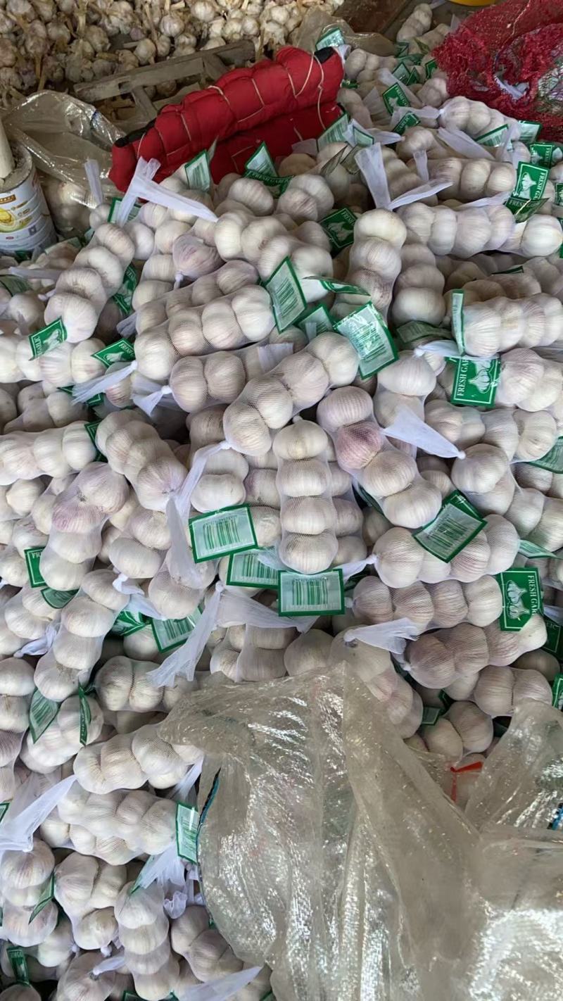 小包装精品大蒜，可出口，可进国内商超，欢迎咨询