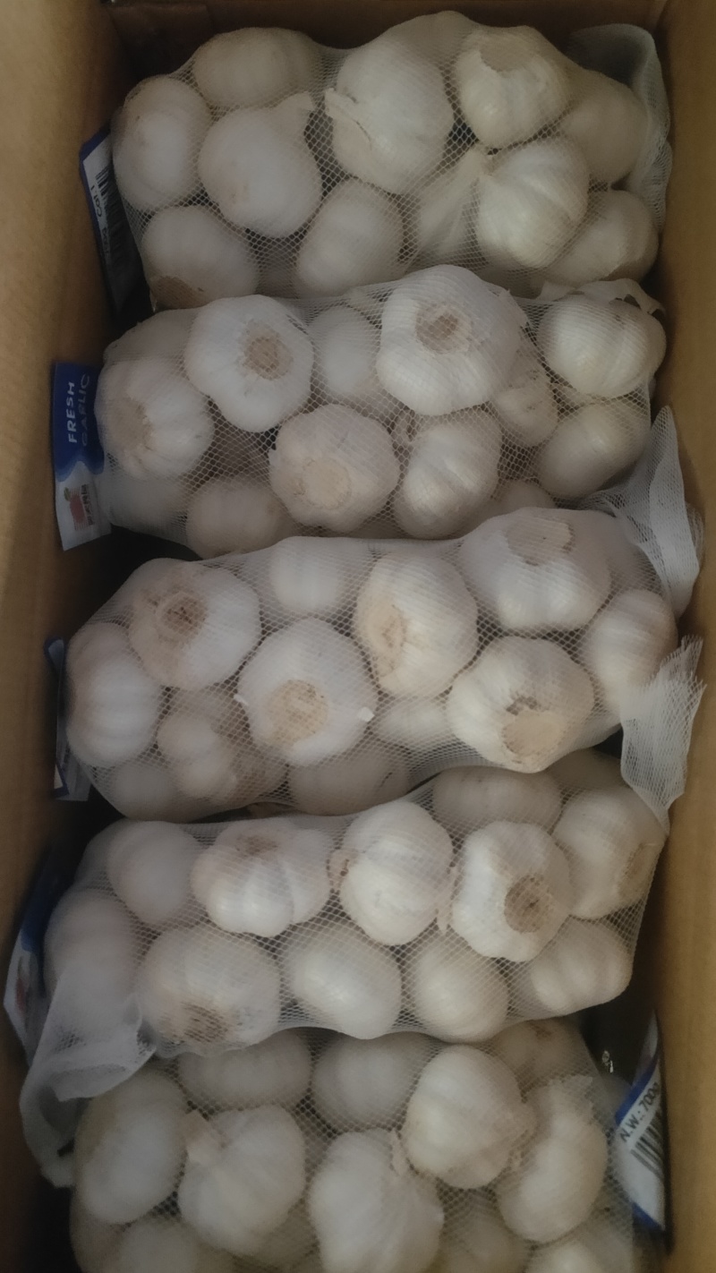 小包装精品大蒜，可出口，可进国内商超，欢迎咨询