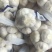 小包装精品大蒜，可出口，可进国内商超，欢迎咨询