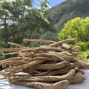 源自大山里的食用当归干货，天然种植大量有货