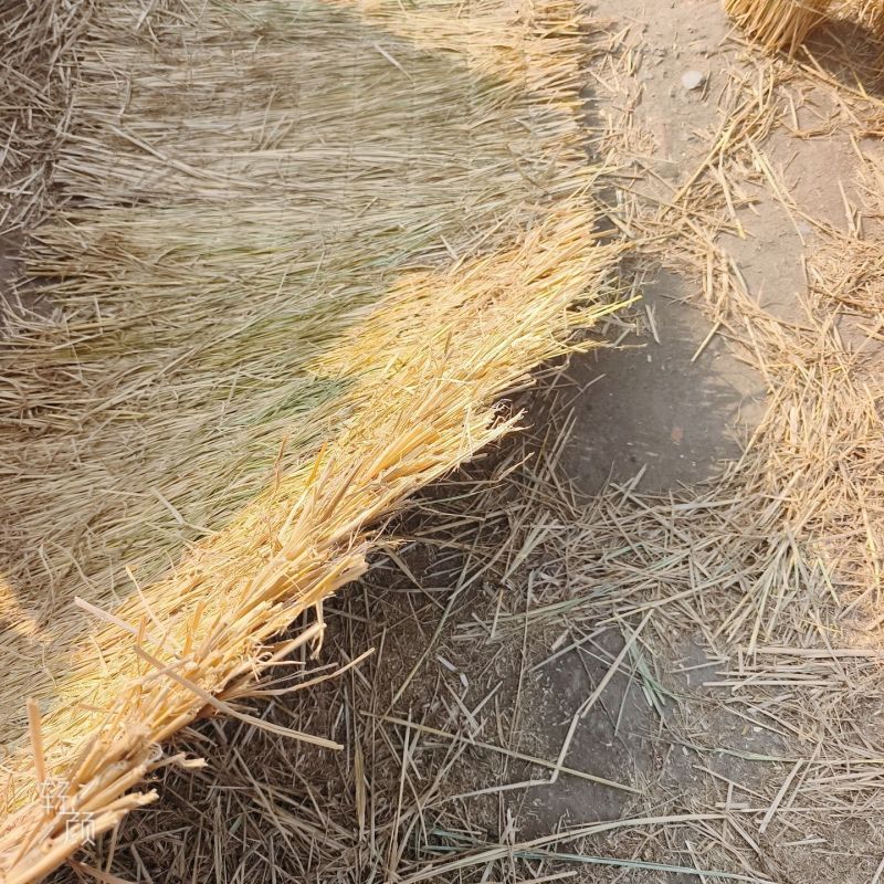 稻草帘子隔热草帘保温耐寒手工编织稻草精致草帘子农家乐装饰稻草