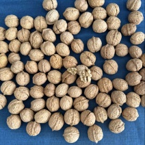 云南核桃市场货仁子白皮薄