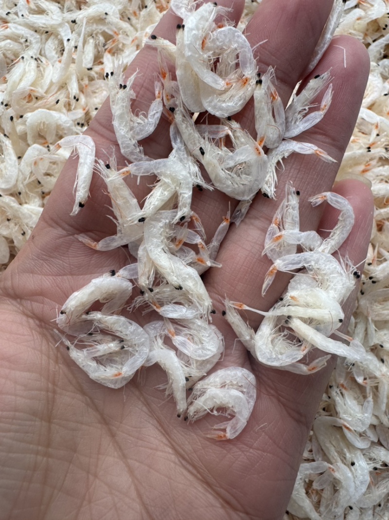淡干无盐大虾皮，个头大，颜色好，