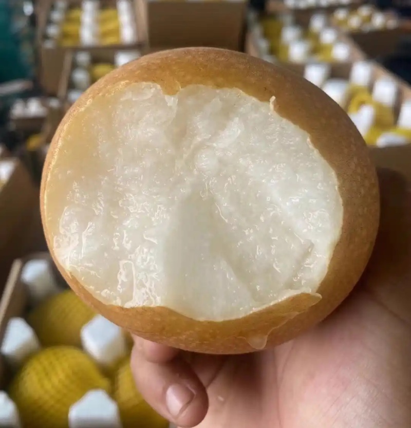 新高梨【精选】莱阳梨对接批发市场/商超/出口/上货中