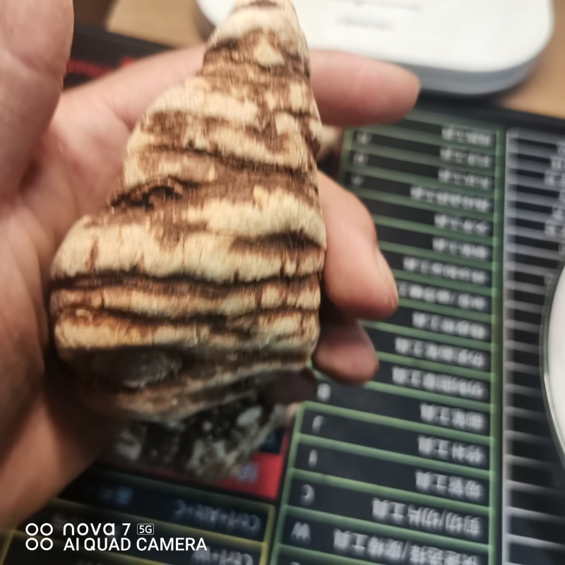 中药材重楼七叶一枝花重楼片一手货源大货供应，规格齐全