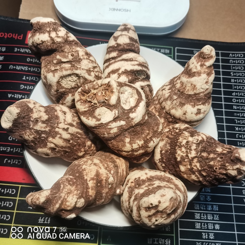 中药材重楼七叶一枝花重楼片一手货源大货供应，规格齐全