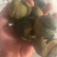 2025年7-8月，浦北三花青皮，陈皮三花青皮