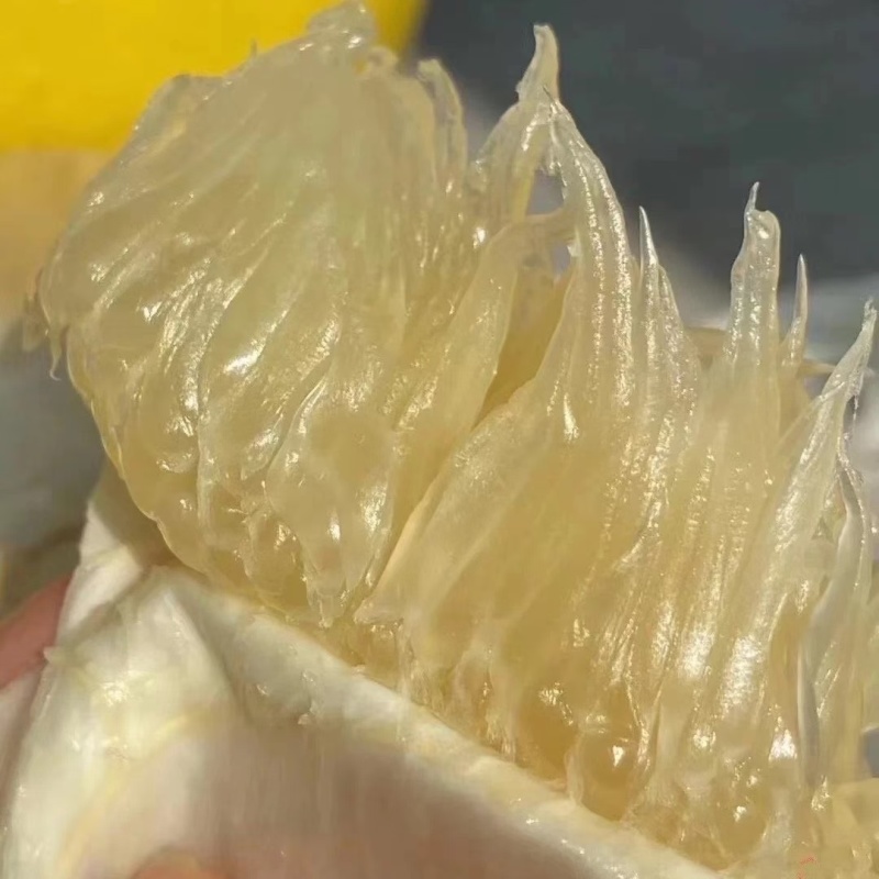 正宗梅州沙田柚