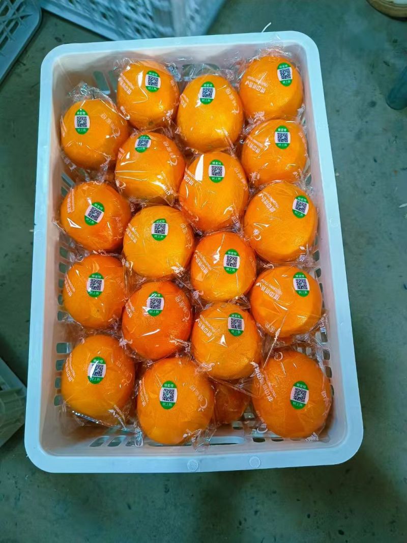 赣南脐橙，工厂炸汁原料，欢迎工厂对接合作