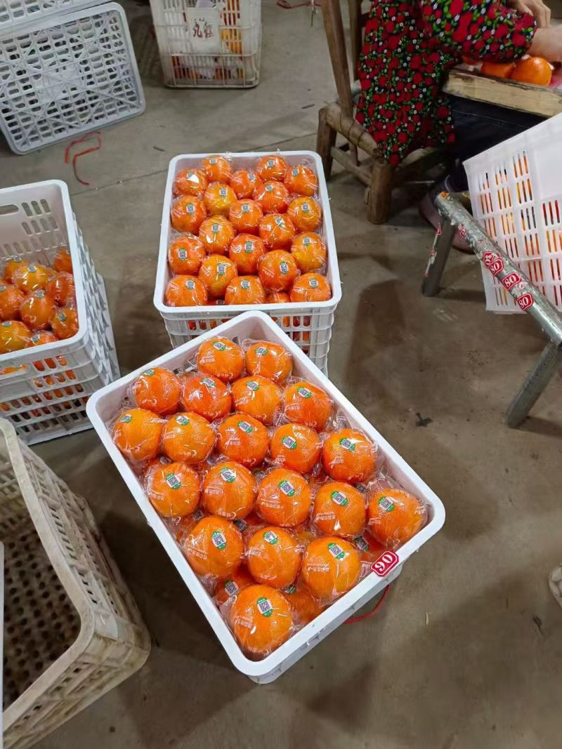 赣南脐橙，工厂炸汁原料，欢迎工厂对接合作
