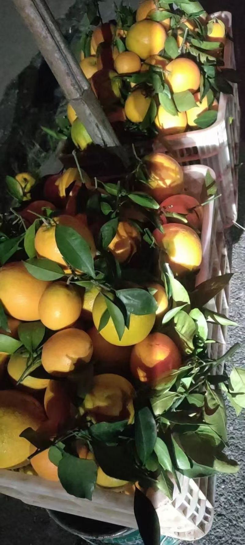 赣南脐橙，工厂炸汁原料，欢迎工厂对接合作
