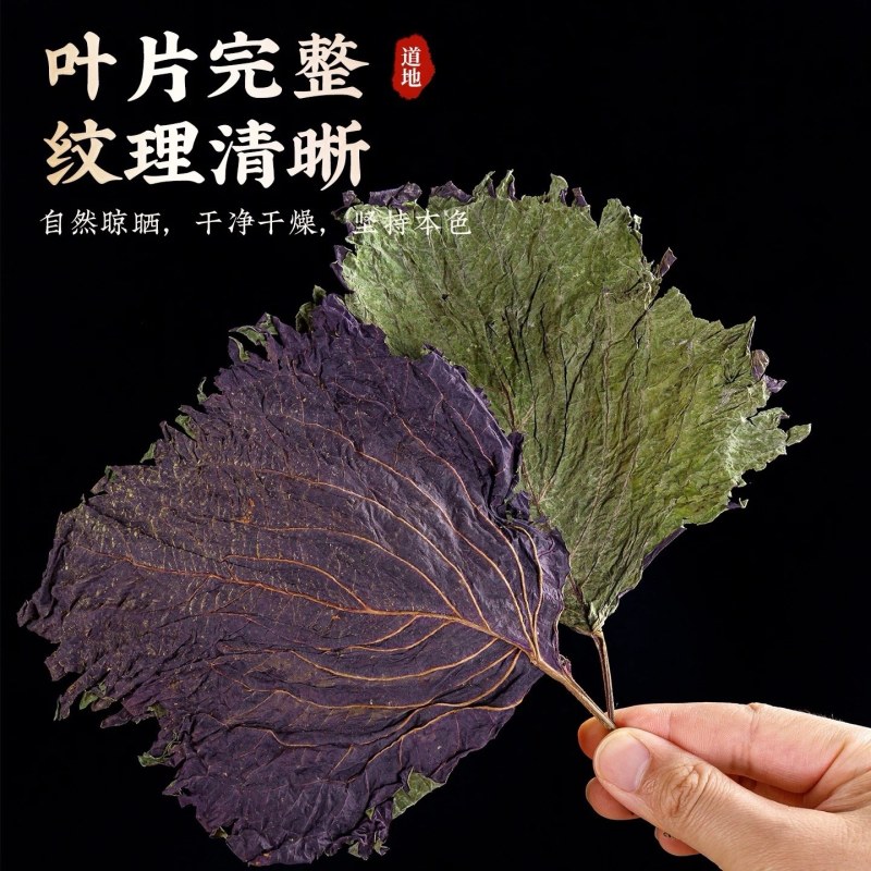 紫苏叶，干货质量保证中药材无杂质，长期有货自产自销