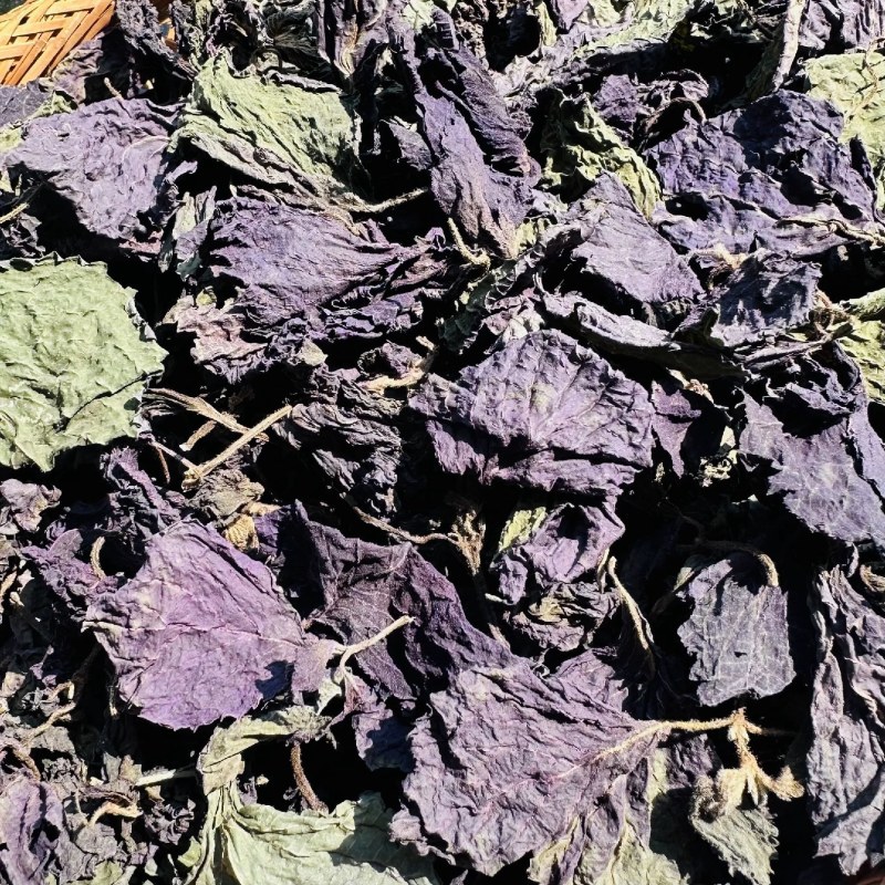 紫苏叶，干货质量保证中药材无杂质，长期有货自产自销
