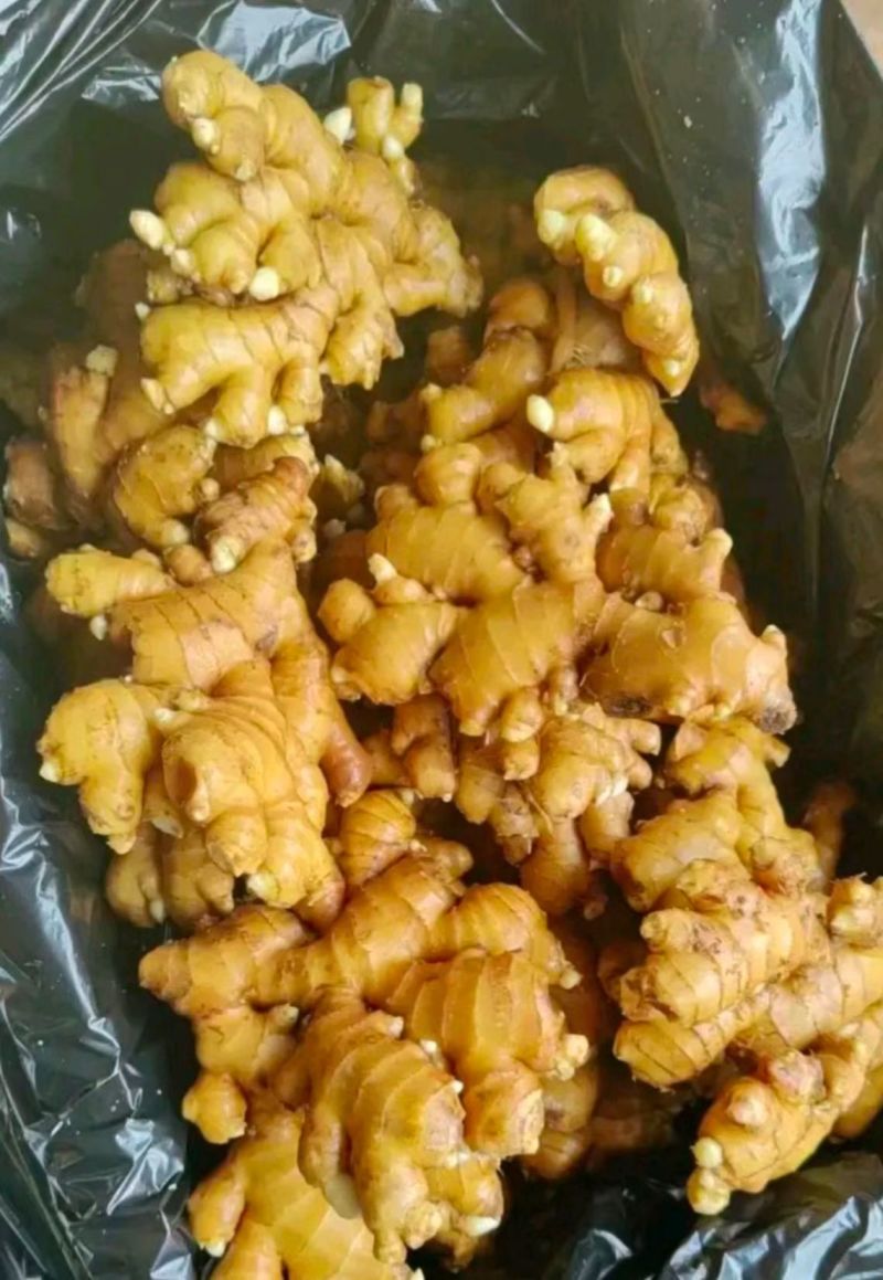 山东精品小黄姜大黄现挖带泥/水洗/风干/窖藏安需加工
